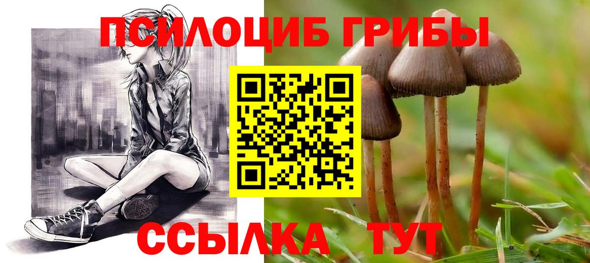 Псилоцибиновые грибы GOLDEN TEACHER  Галлюциногенные грибы Cubensis  Нурлат  Вход с VPN 