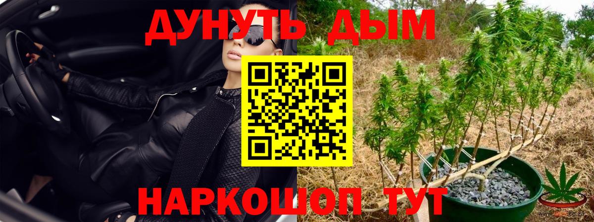 Бошки марихуана ГИДРОПОН Нурлат